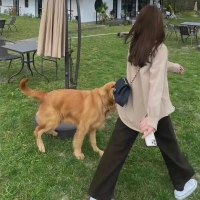 斗牛犬之女